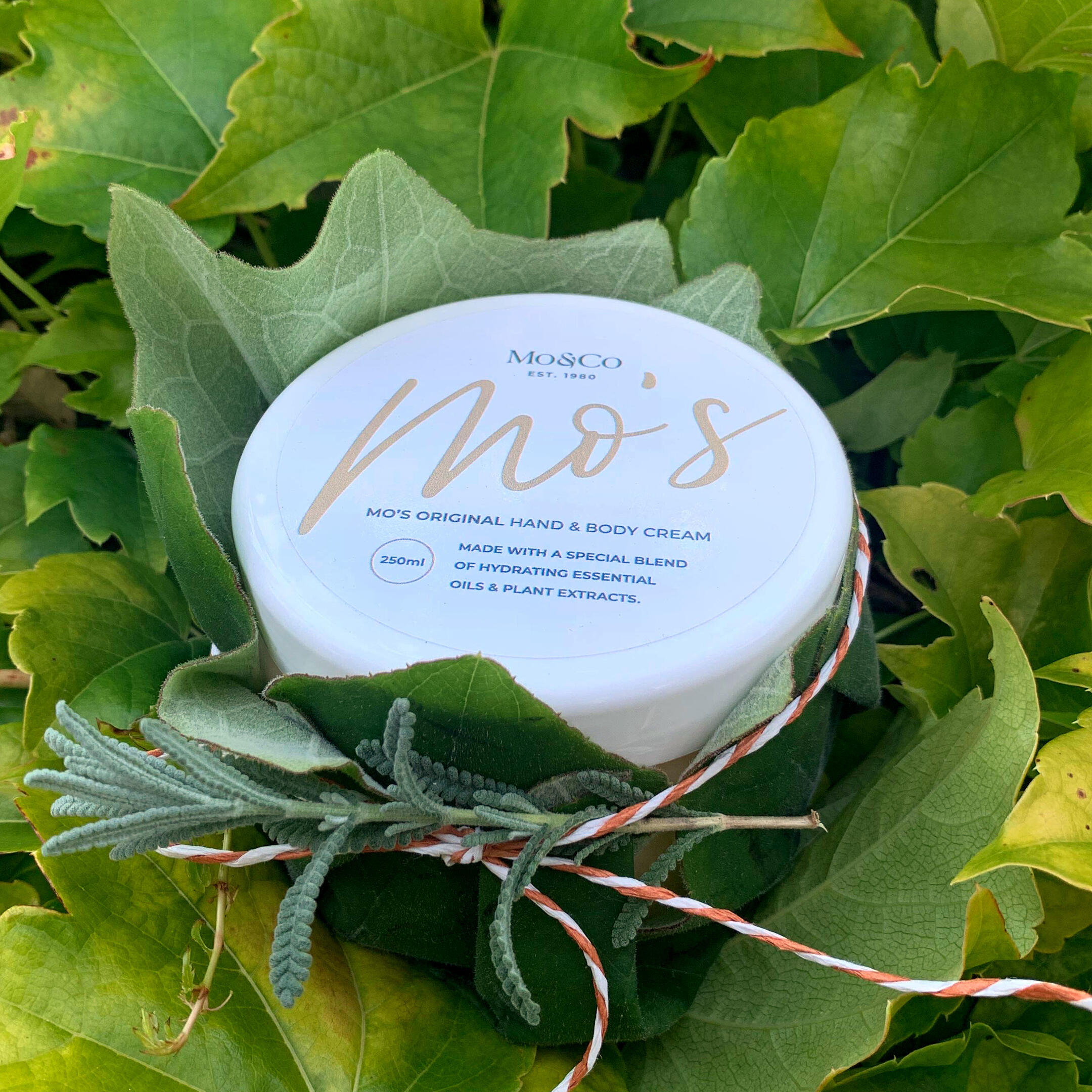Mo's Cream